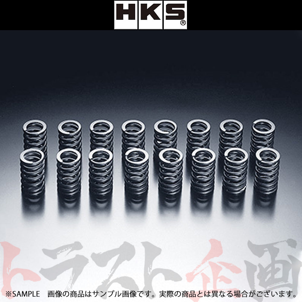 HKS バルブ スプリング ##213121355 - トラスト企画