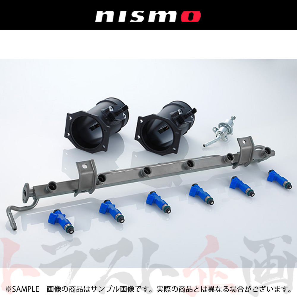 NISMO RB26DETT エンジン用 フューエルキット スカイライン GT-R BNR34 後期 ##660122173 - トラスト企画